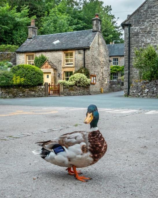 Duck Cottage Milldale Alstonefield Peak District Alstonfield ภายนอก รูปภาพ